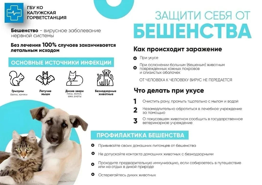 БЕШЕНСТВО - острое, вирусное инфекционное заболевание, общее для человека и животных, всегда заканчи