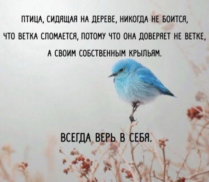 Мифы о спорте, в которые пора перестать верить! 🛑Очень часто начать двигаться нам мешают железные с