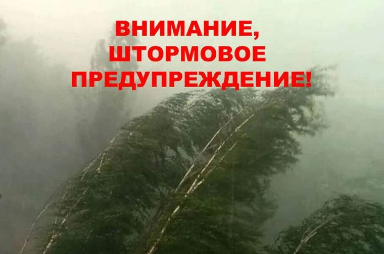 УВАЖАЕМЫЕ ЖИТЕЛИ КУЗНЕЦКОГО РАЙОНА!
ШТОРМОВОЕ ПРЕДУПРЕЖДЕНИЕ!
ОБЪЯВЛЯЕТСЯ ОРАНЖЕВЫЙ УРОВЕНЬ ПОГОДНОЙ