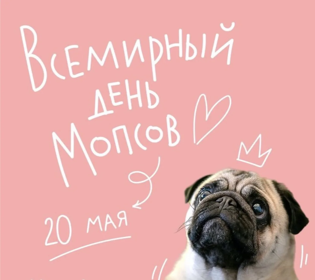 🐾С чем нас всех и поздравляем ) 🐾