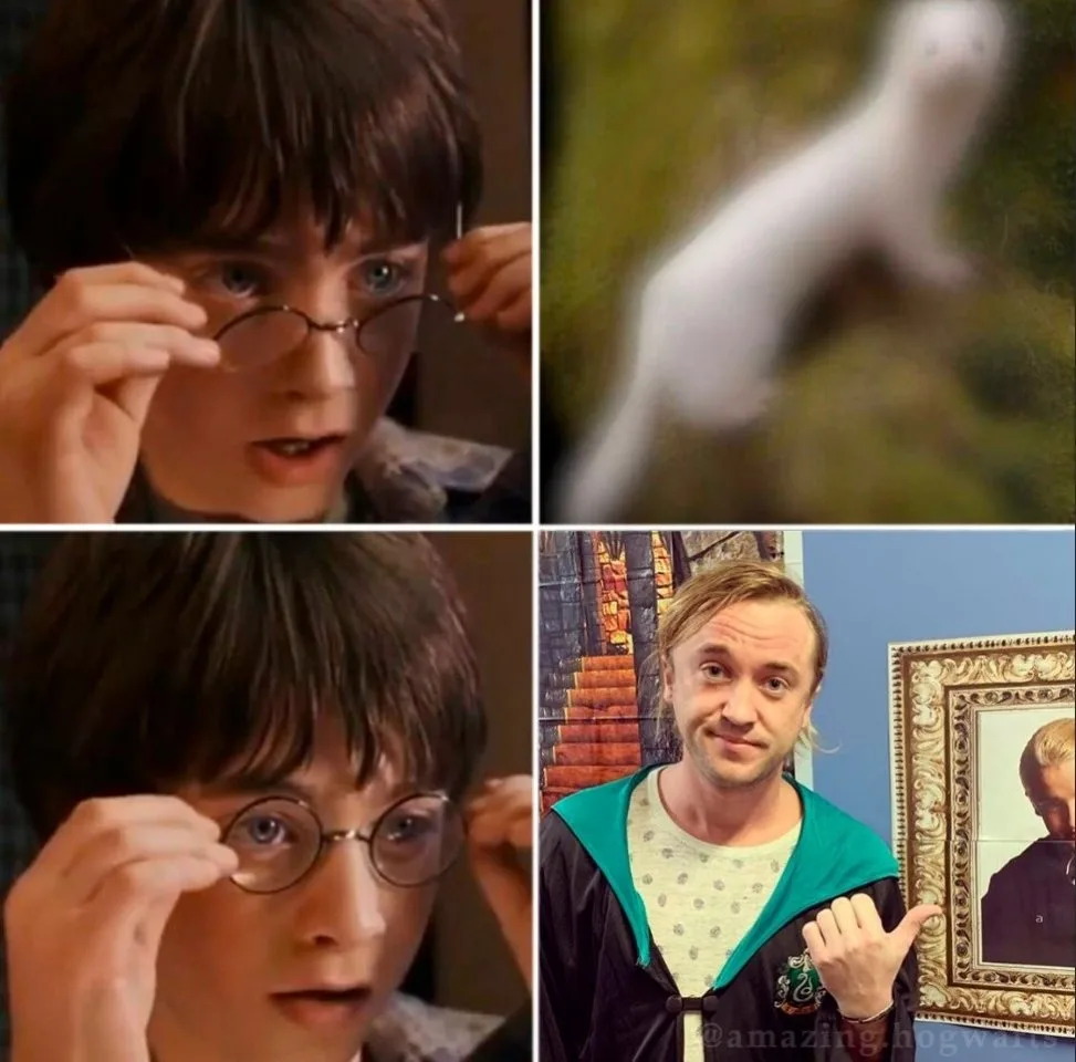 🤣