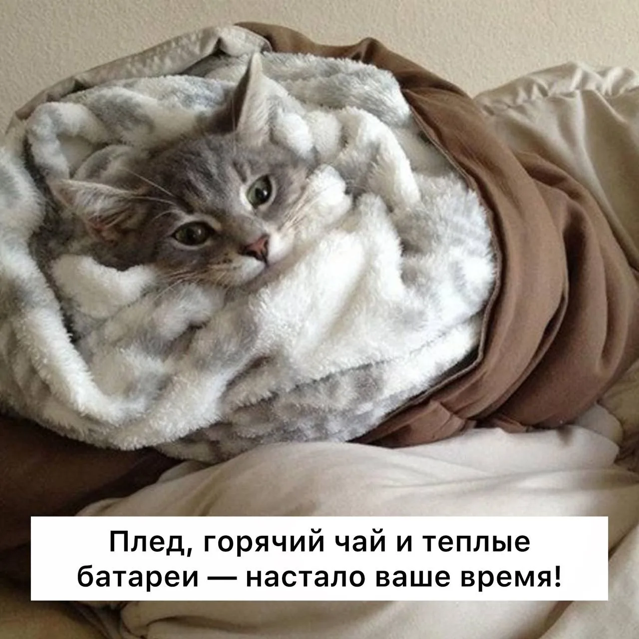 До -5 градусов будет опускаться температура в Московском регионе по ночам в начале октя...