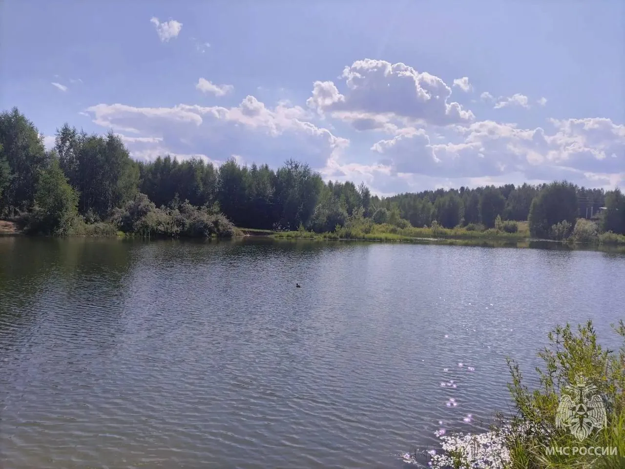 ⚡ В Кулебаках в безымянном пруду утонул 15-летний подросток.