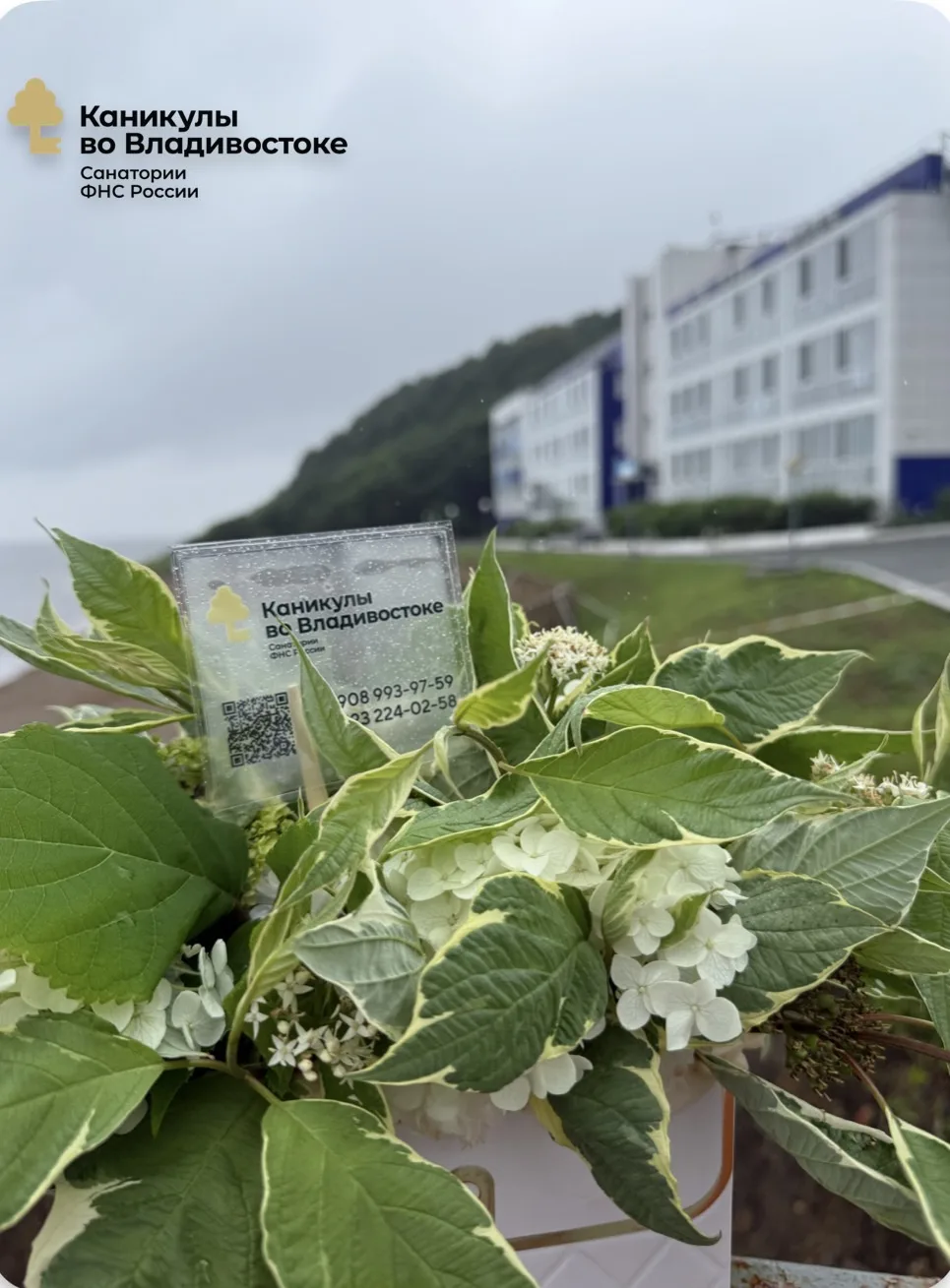 🌿 Воскресенье, 26 июля — день лёгкости и вдохновения