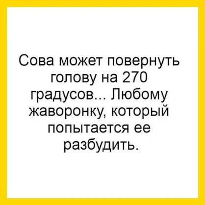 Полный Хохотамбл! Подпишись скорее