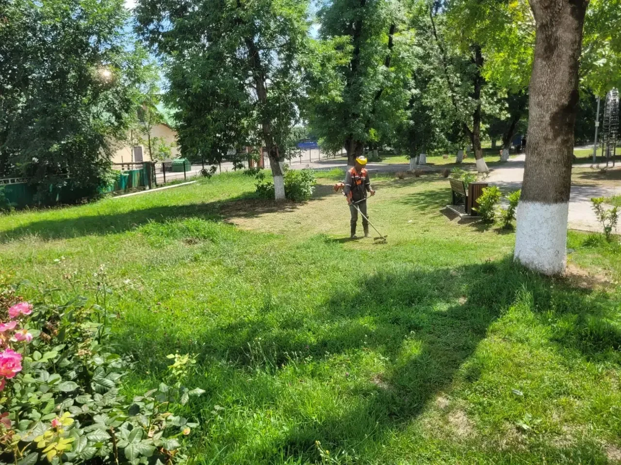 Покос сорной растительности на территории центрального парка