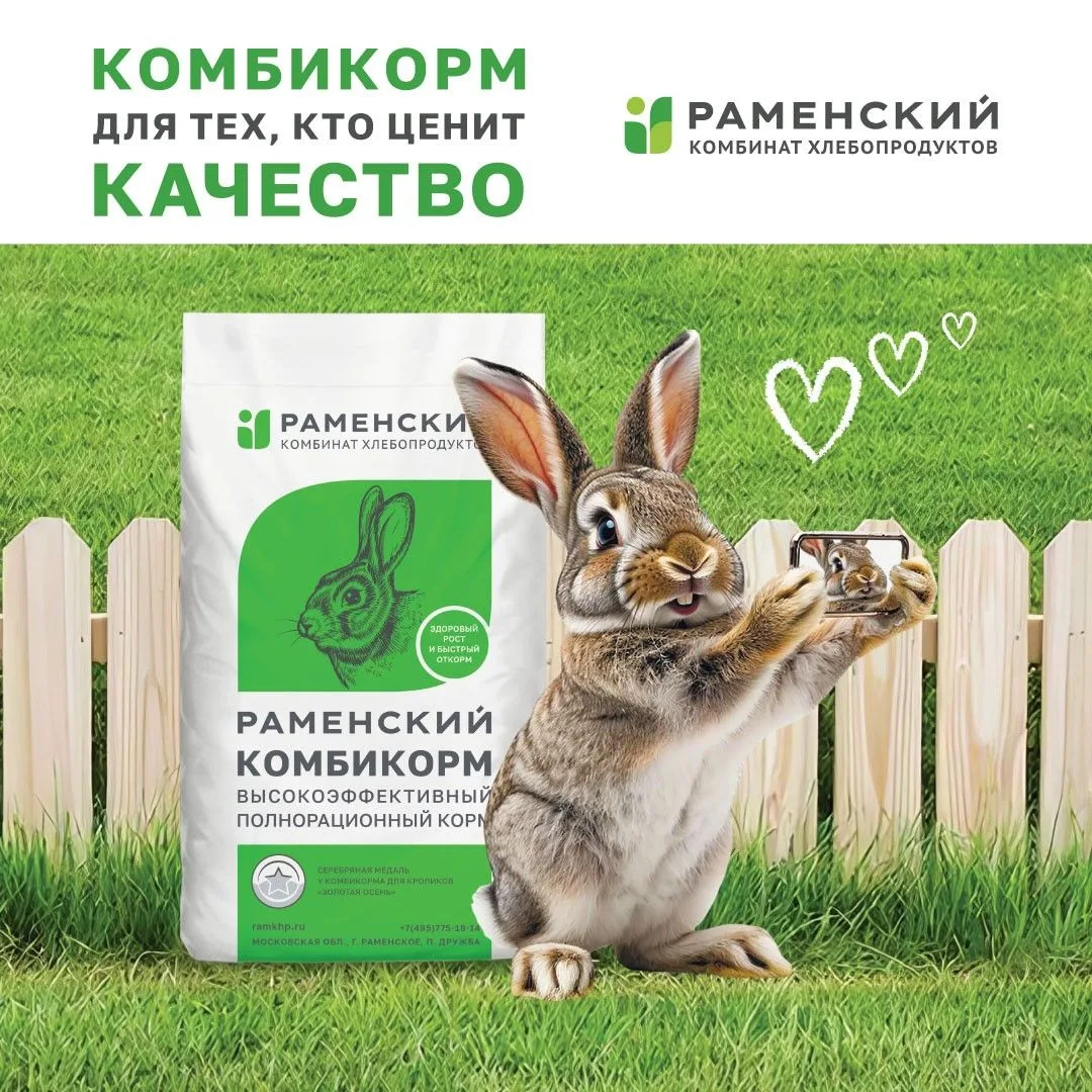 Выращиваете кроликов в домашнем хозяйстве или развиваете фермерский бизнес?