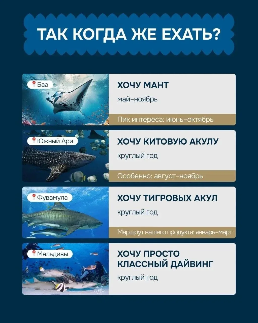🛳 Круиз по островам на Мальдивах
