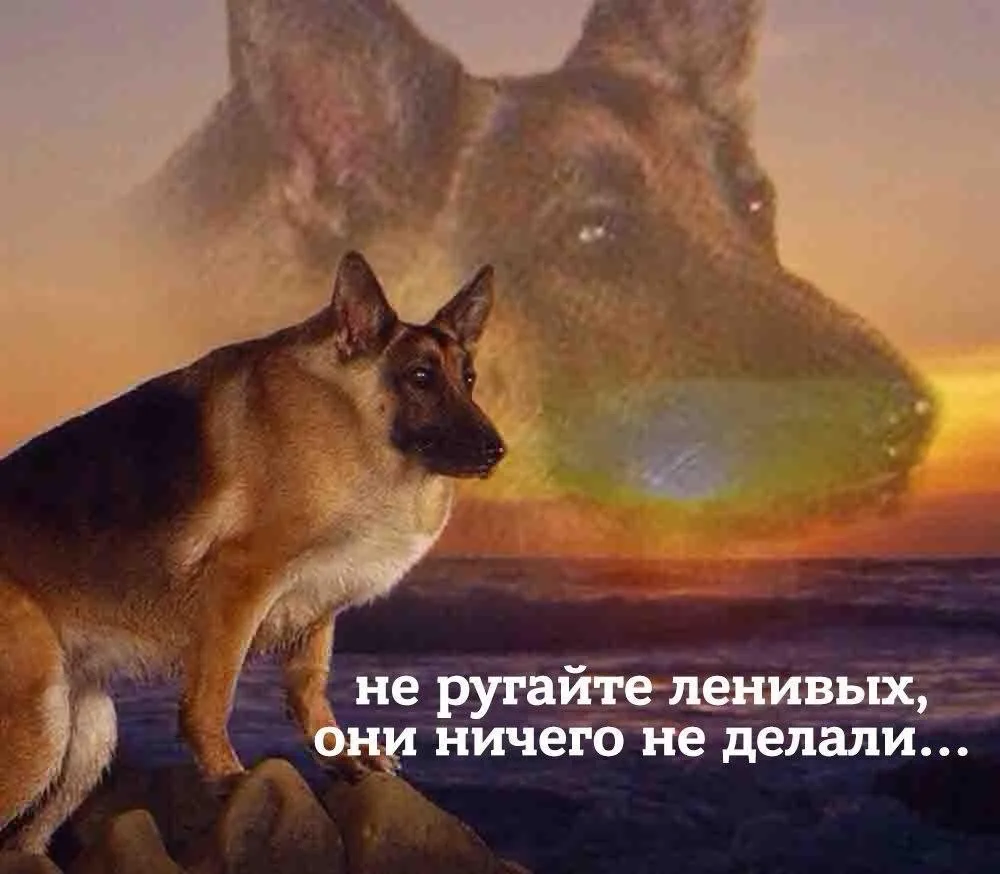 Всемирный день лени отмечается сегодня.