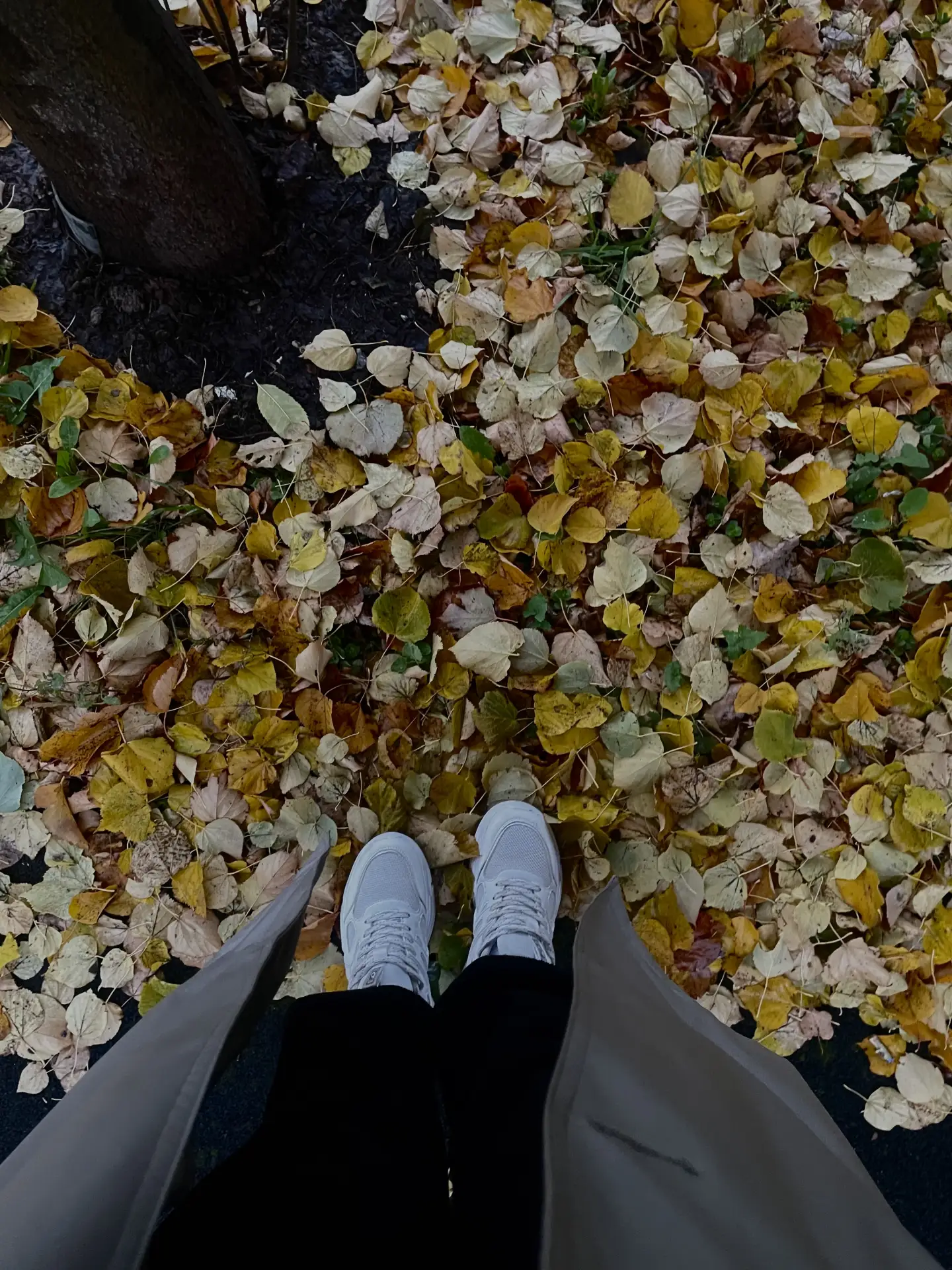 Не жди понедельника. Не жди Нового года. Не жди «идеального» времени — его вообще может...