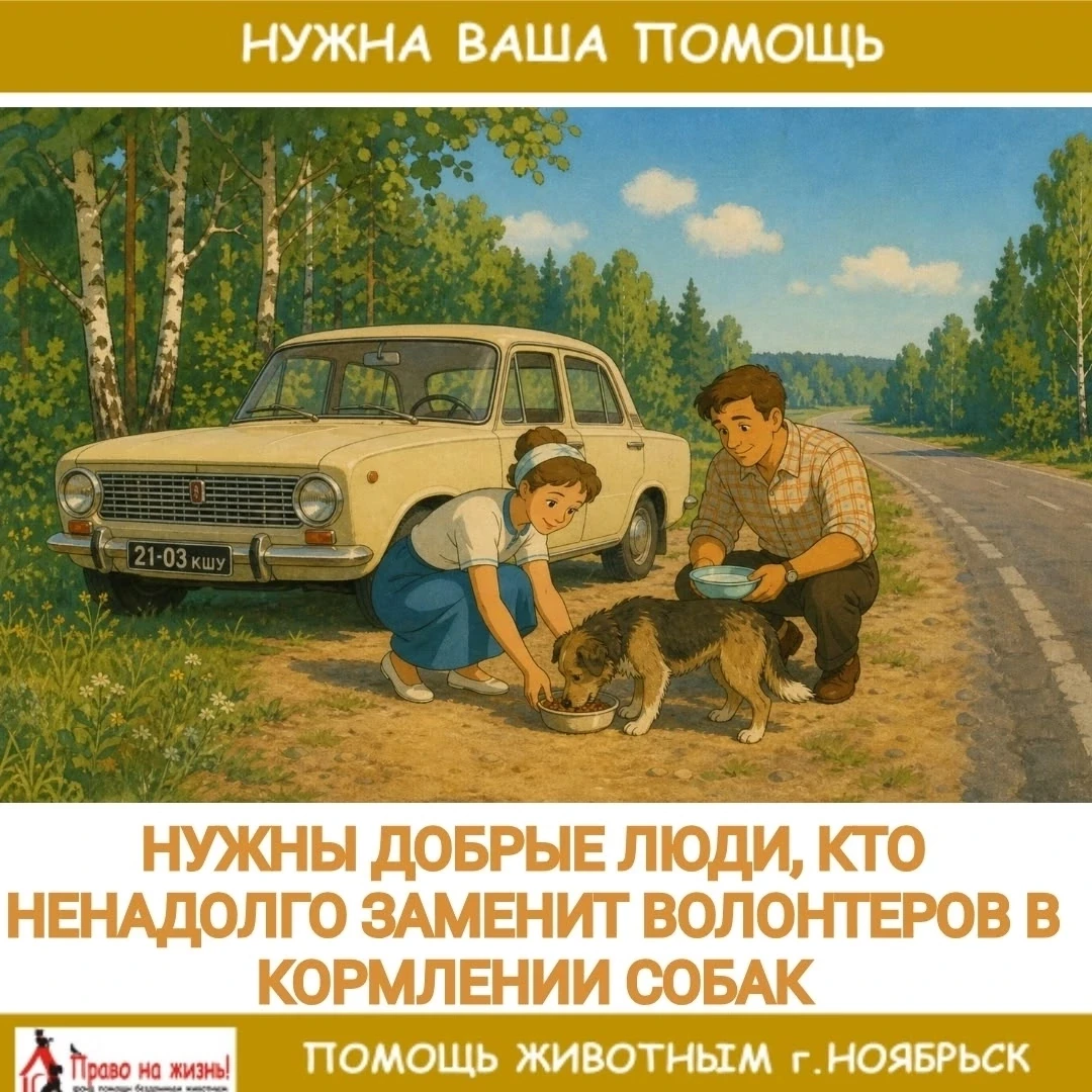 С 28 июля по 10 августа нужен человек кормить бездомных собак на промзоне и забирать еду. Они в горо