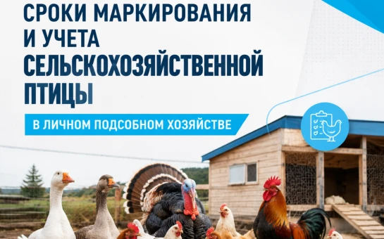 С 1 сентября 2026 года наступил срок обязательной маркировки и постановки на государств...