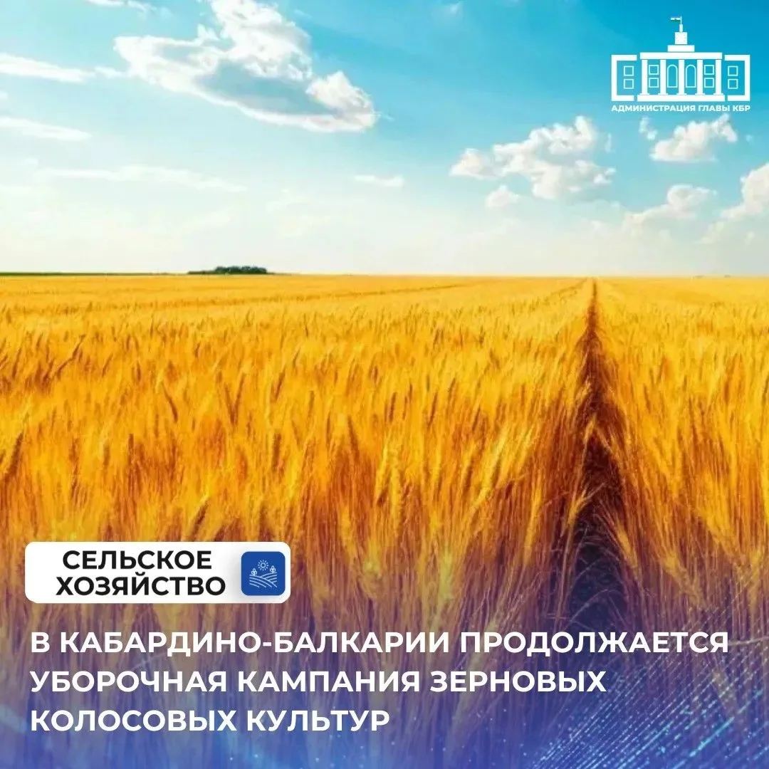 В Кабардино-Балкарии продолжается уборочная кампания зерновых колосовых культур. В текущем году агра