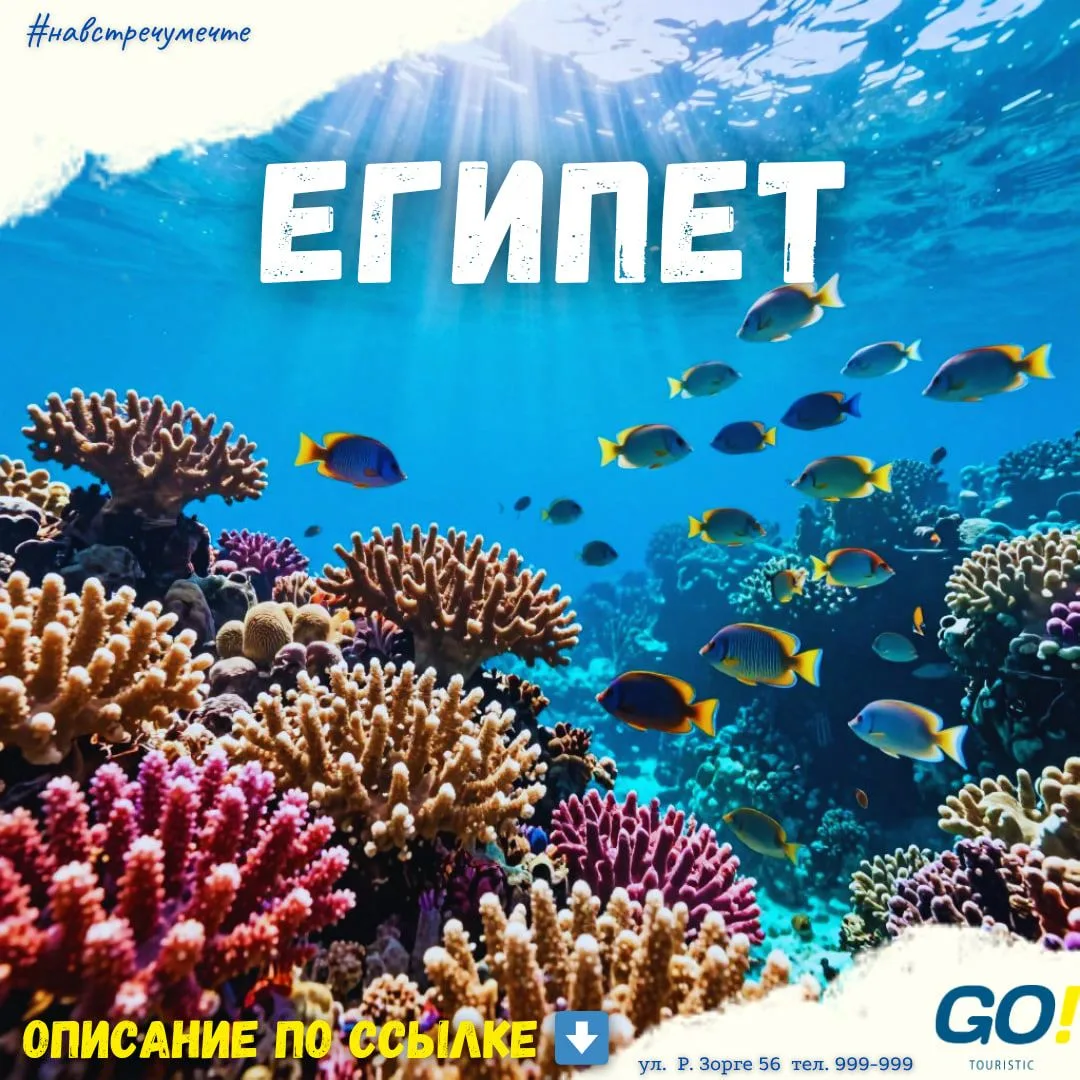 ☺️ Стоимость туров так и говорит, что пора лететь в Египет!