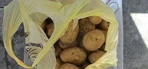 🥔Частному лицу запретили ввоз продовольственного картофеля из Литвы.

25 июля в МАПП «Чернышевское»