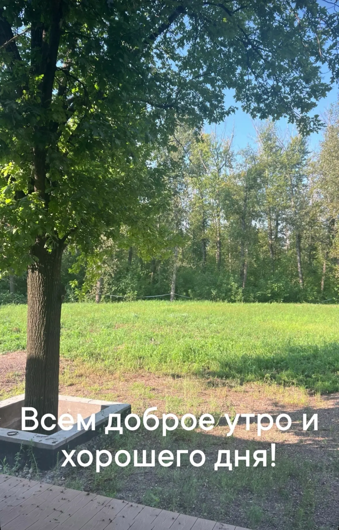 У меня сегодня большой прием и много организационных дел.

У девочек сегодня домашнее чтение и много