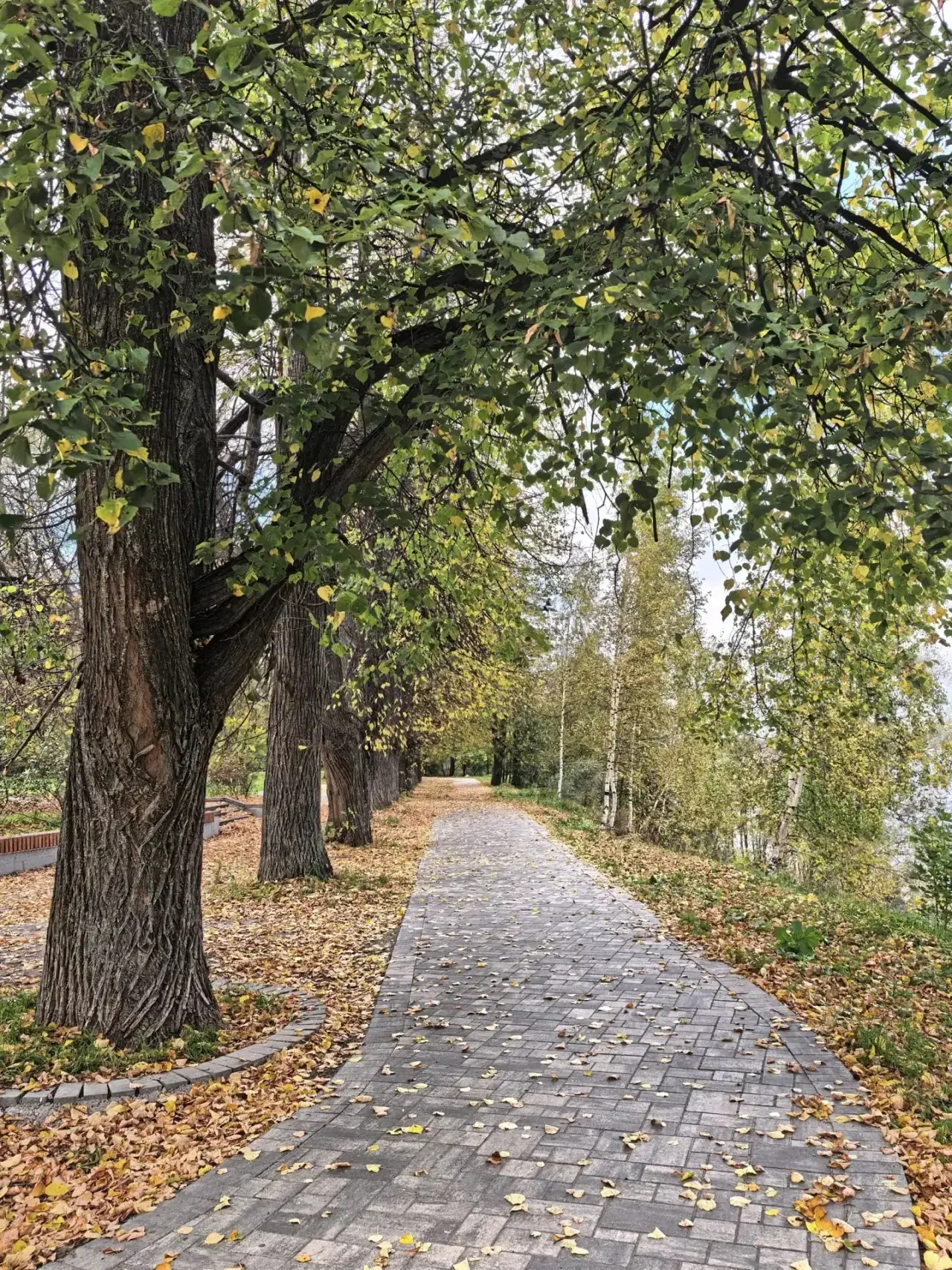 Осень в Павловской роще 🍂🍁🫶🏻