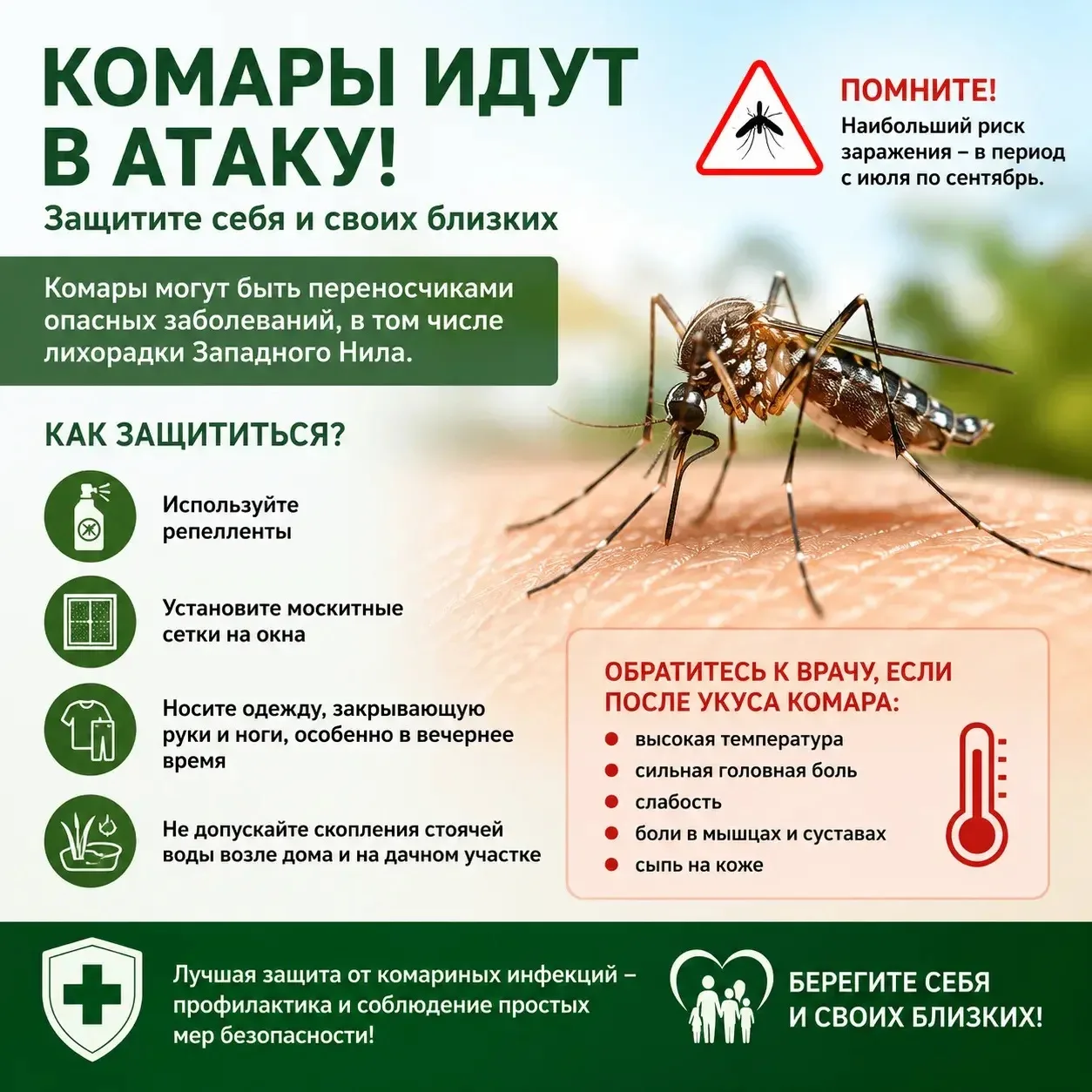 🦟 Комары идут в атаку!
Лето — время отдыха на природе, прогулок и поездок за город. Но именно в это
