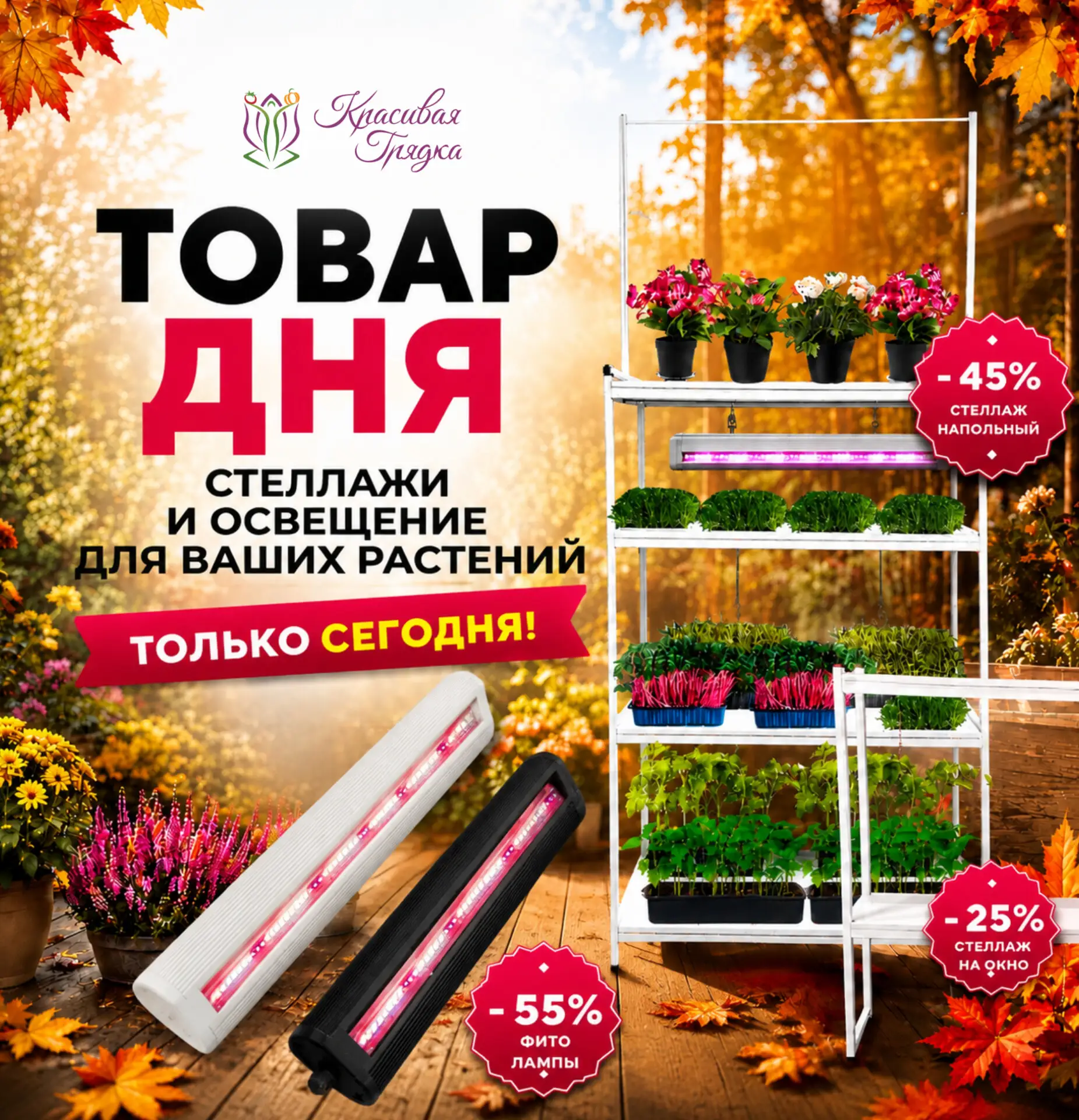 🔥 Сегодня четверг, а это значит — в «Красивой грядке» снова «Товар дня»! 🔥