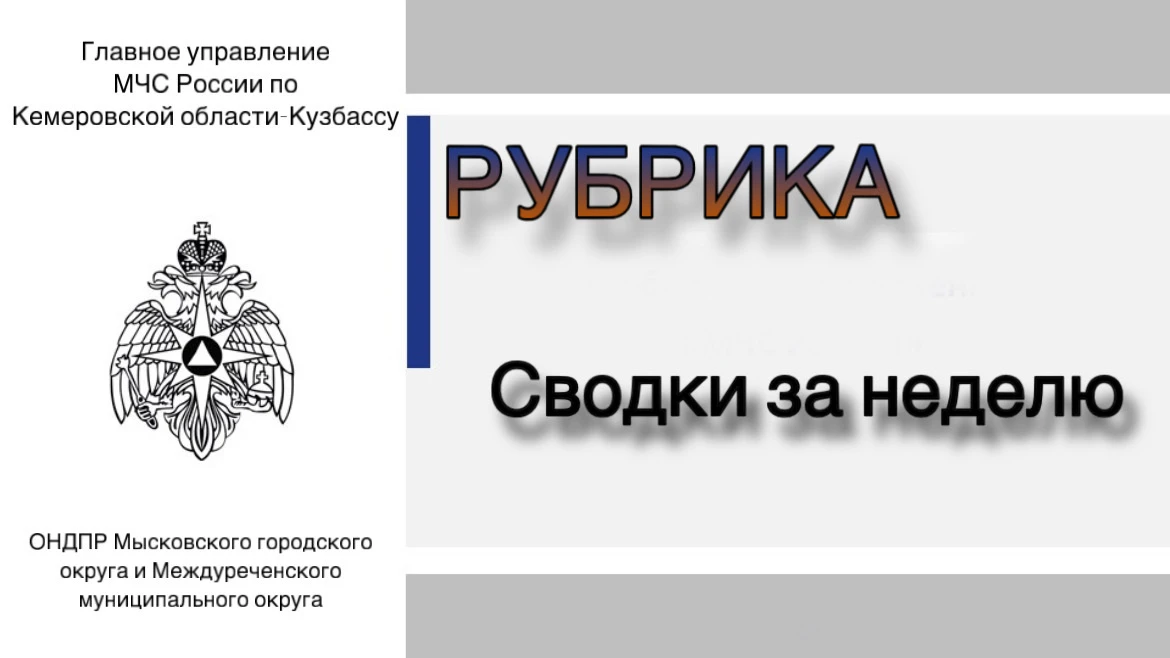 19 марта 2026 года на пульт системы 112 поступил сигнал о пожаре. Возгорание произошло ...