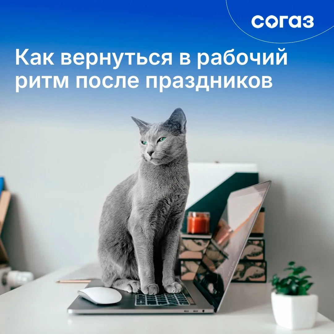Вот и закончились новогодние каникулы. После длительных праздников возвращение к работе может быть н