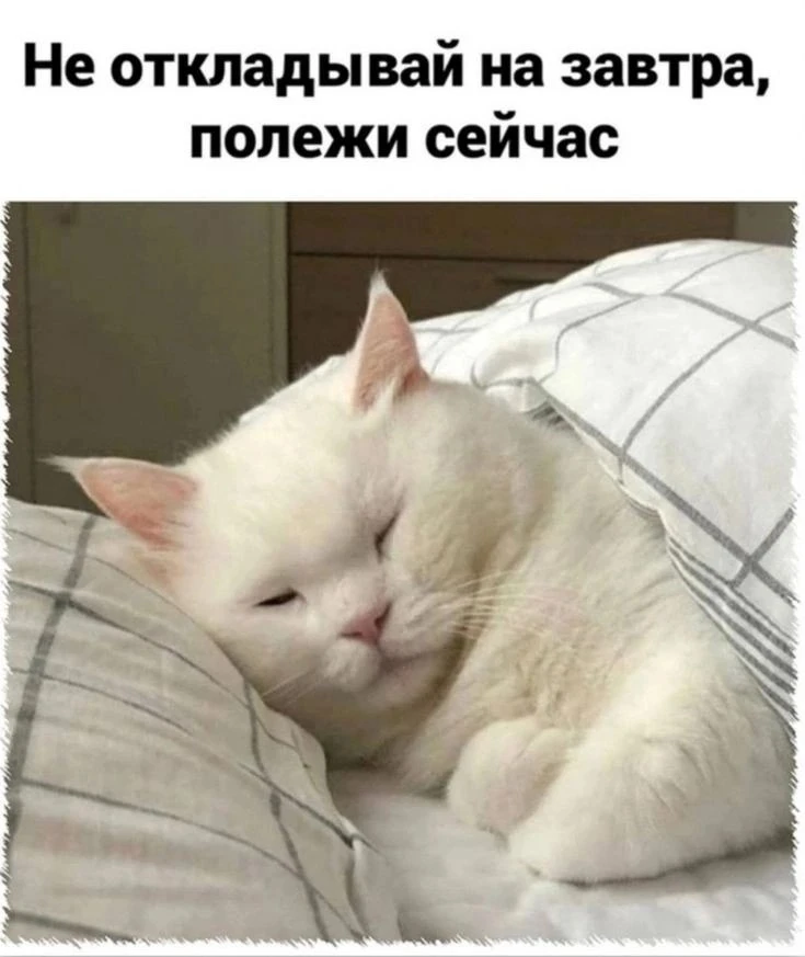 Встречаем понедельник)