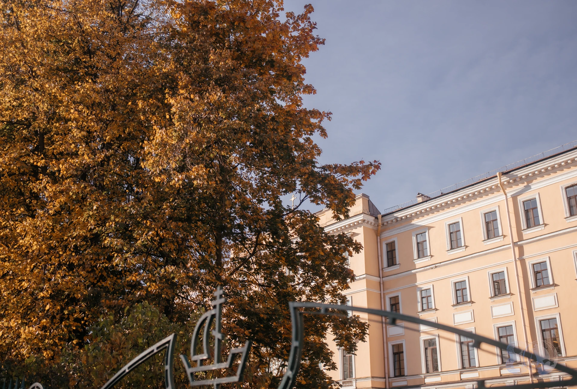 Осень в Духовной школе🍂🍁
