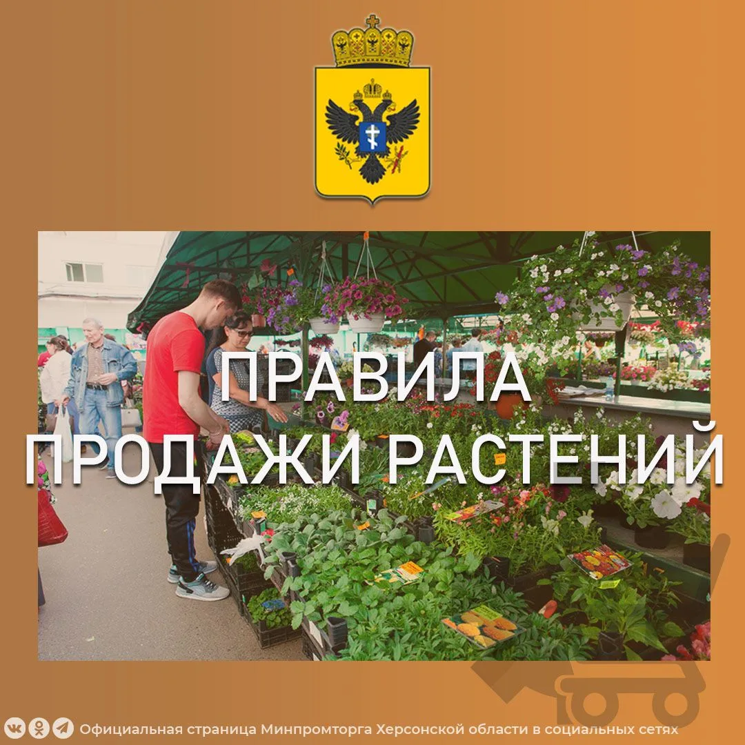 Правила продажи растений

🌳 С началом дачного сезона становится актуальной покупка растений для сад