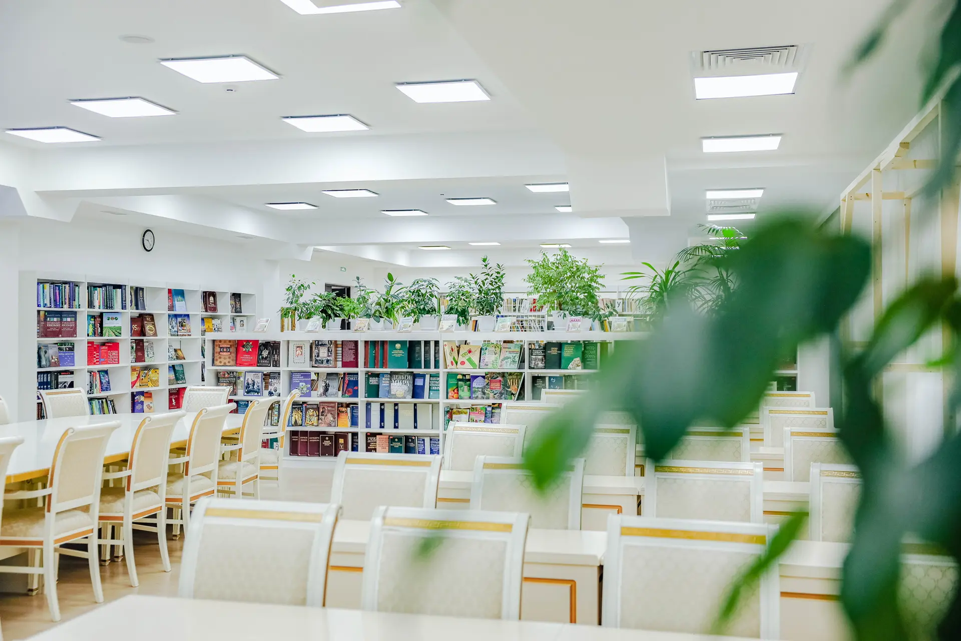 Общероссийский день библиотек — с праздником! 📚  Сегодня, 27 мая, отмечается Общероссийский день биб