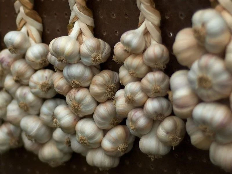В косах, как и лук: самый надежный способ хранения чеснока