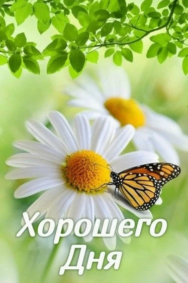 Хорошего дня!