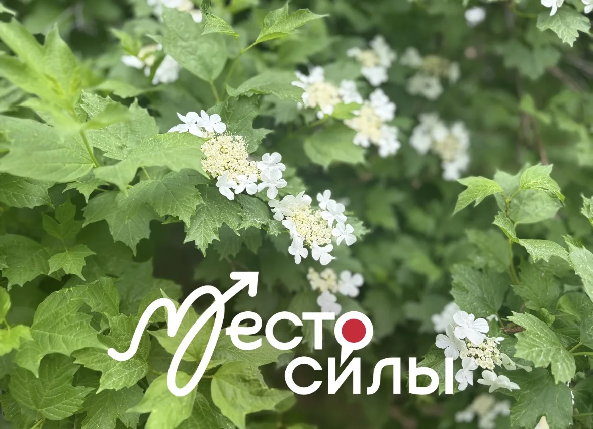 🇷🇺 С Днём России! Наша школа — это настоящее место силы!
Поздравляем всех с главным праздником стр