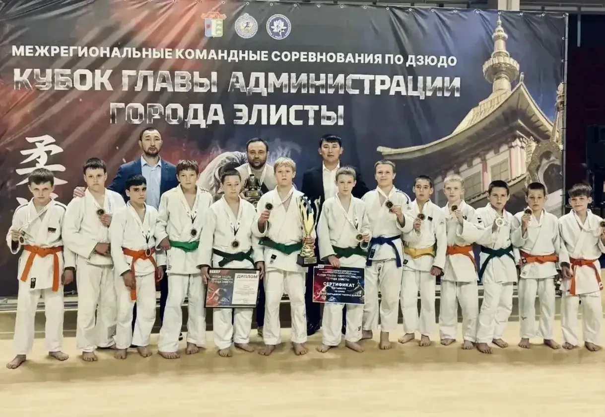 Командные межрегиональные соревнования по борьбе Дзюдо