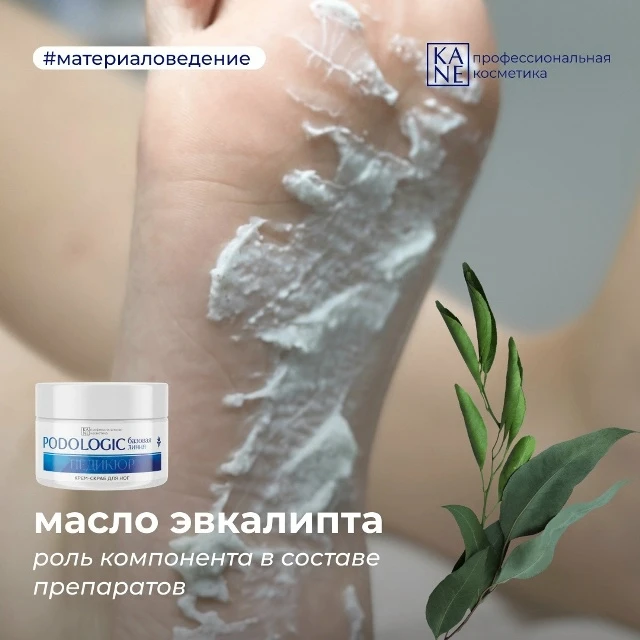 Факты о масле эвкалипта, о которых вы могли не знать 💡