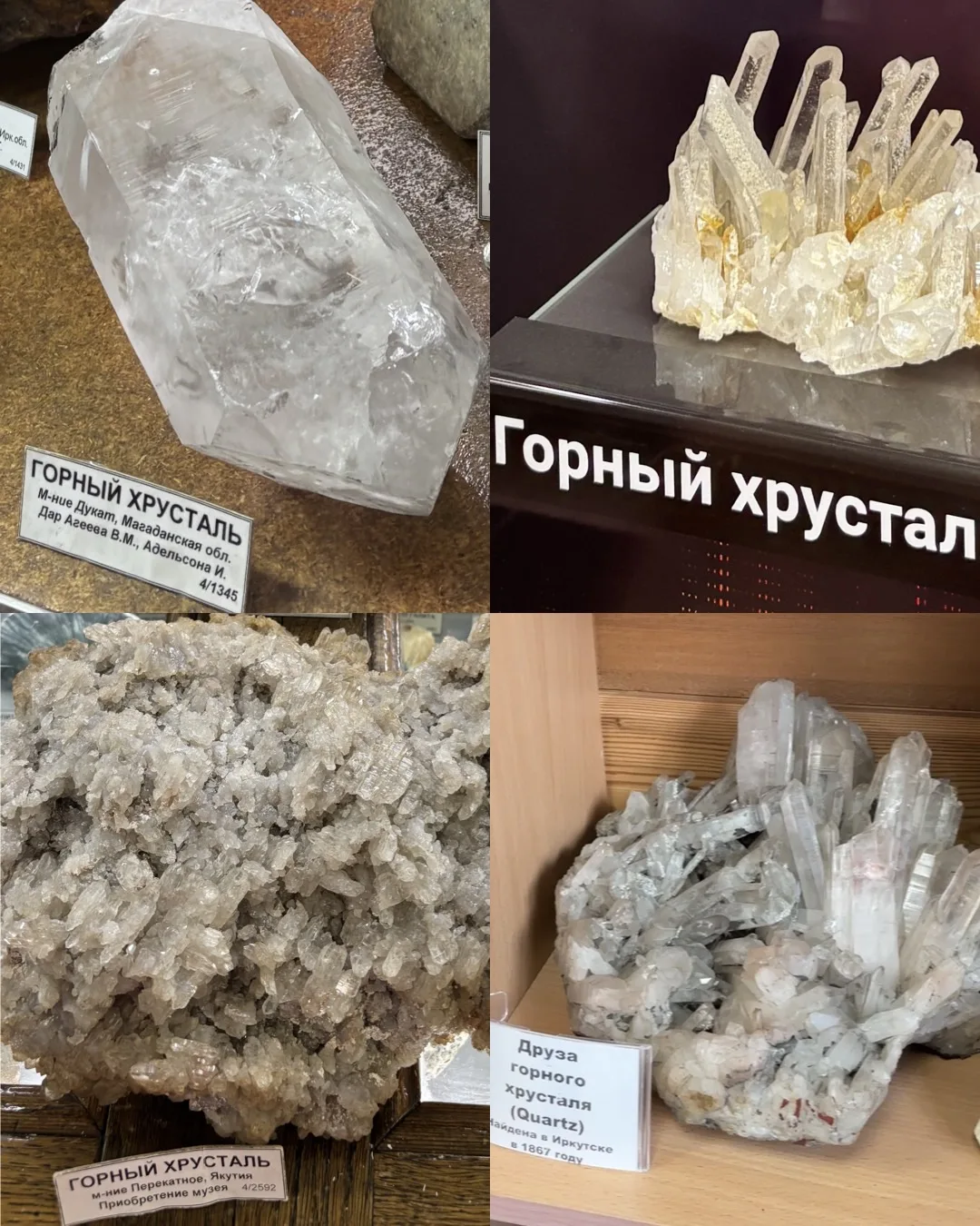 Всем добрый вечер ✨