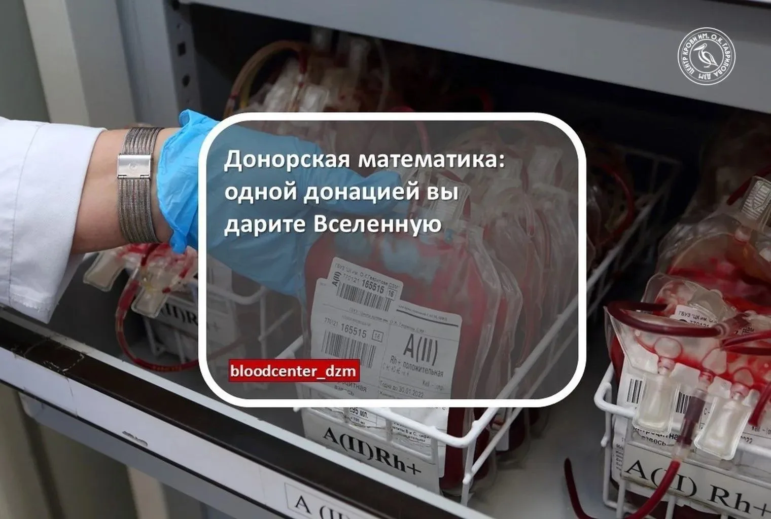 Донорская математика: одной донацией вы дарите Вселенную