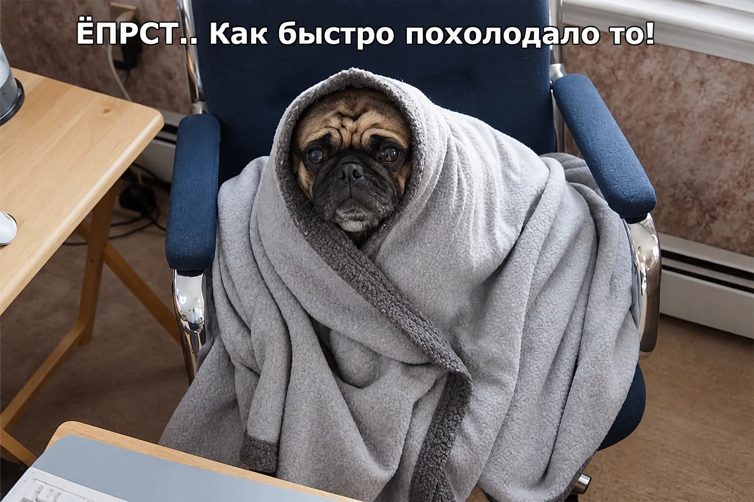 🥶 А у вас холодно дома?