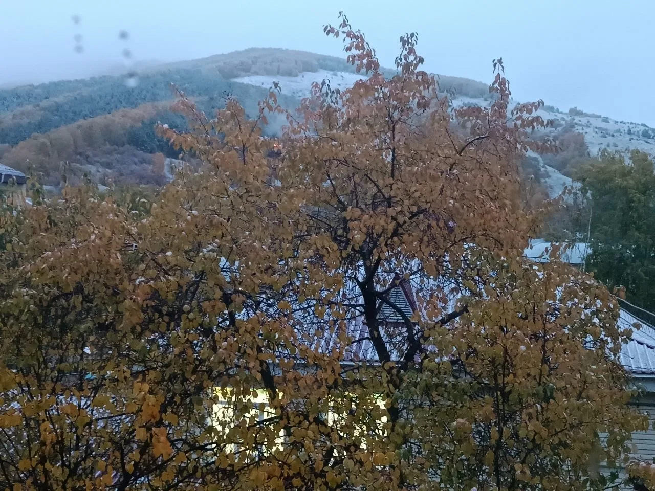 🌨 Так и запишем - 7 октября первый снежок в Горно-Алтайске выпал. От подписчика.