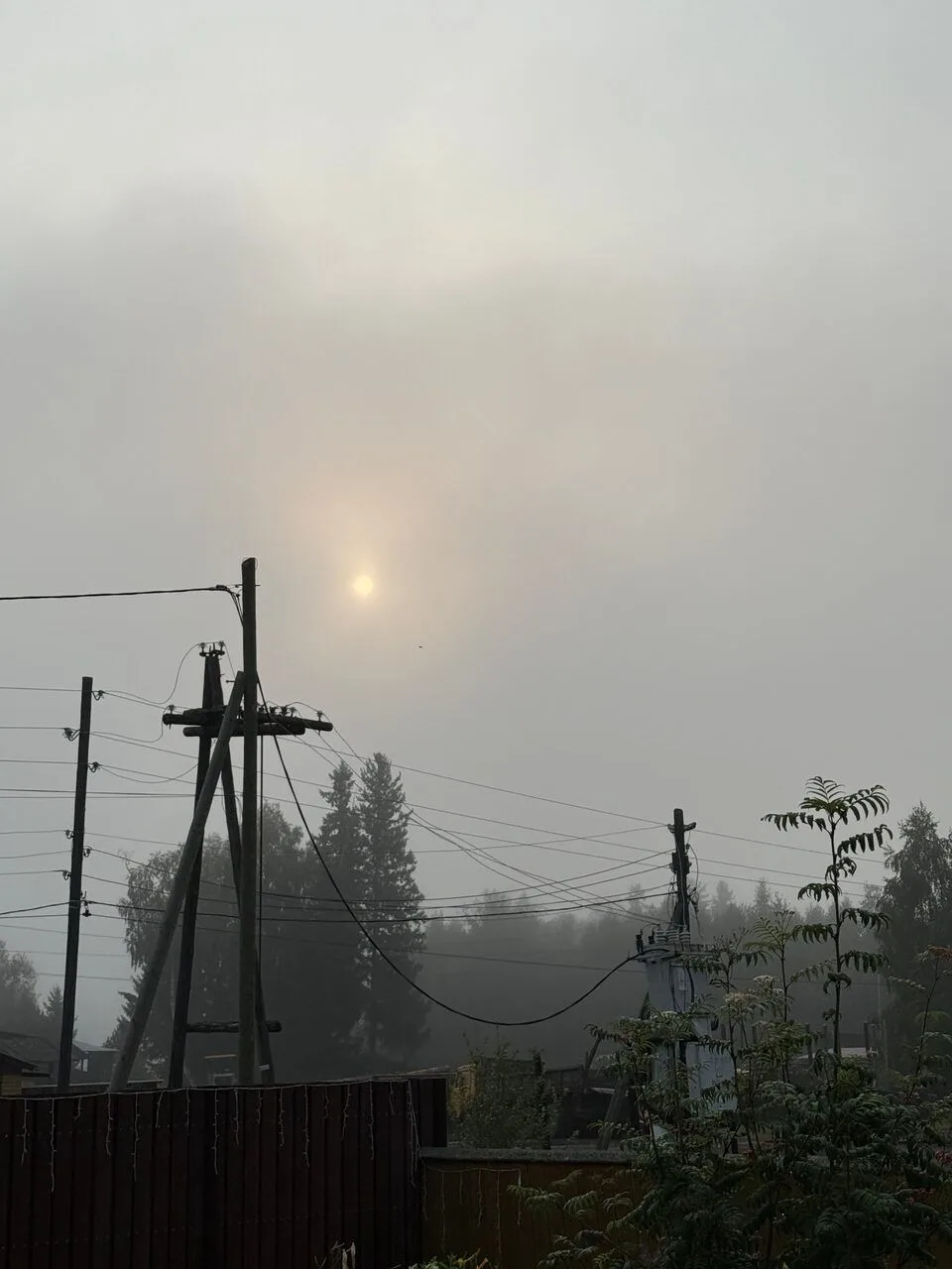 🌫️ Внимание: на дорогах туман! ❗