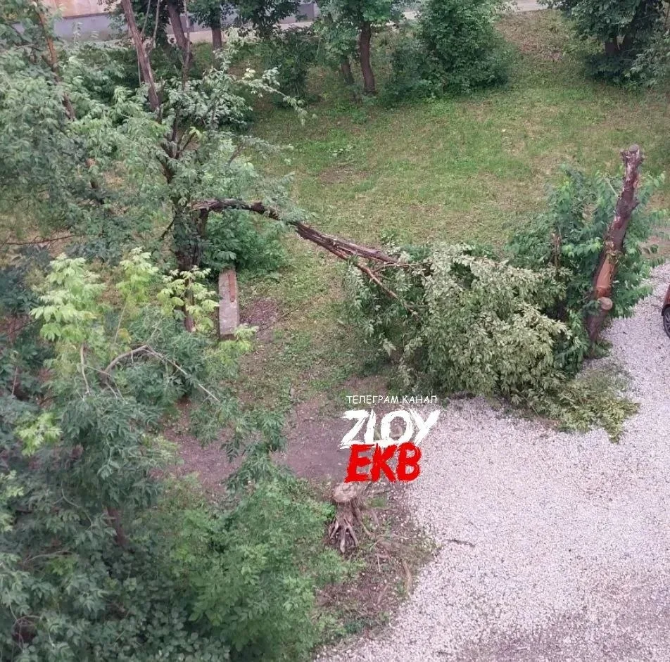 Верю в силу злого!