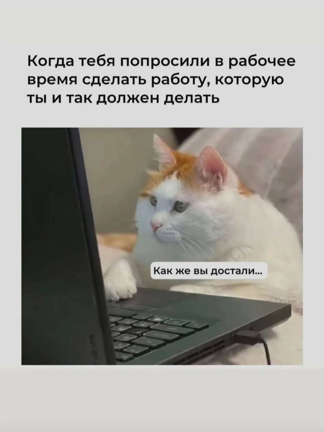 🫠 Друзья, а у вас такое же настроение в пятницу?