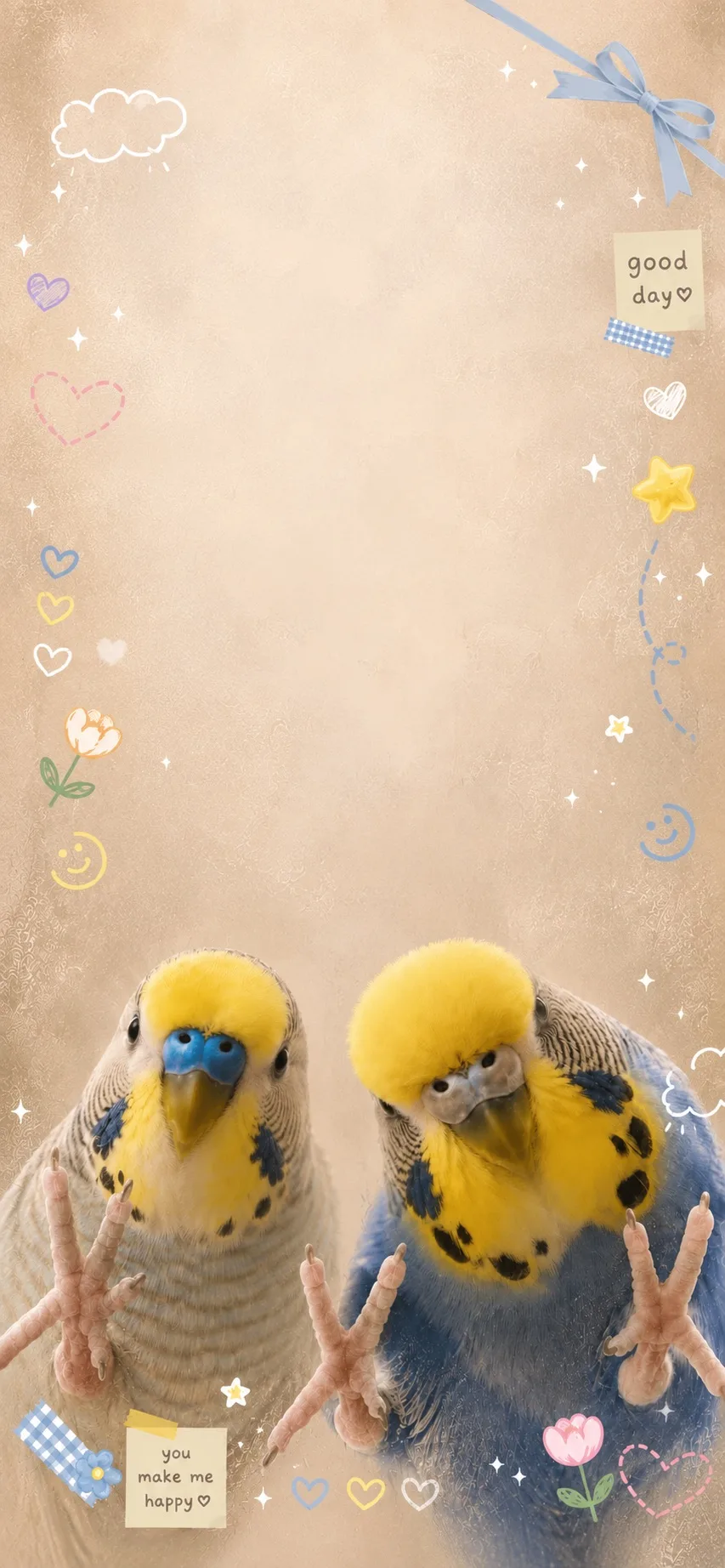 Милые обои с попугаями 🦜