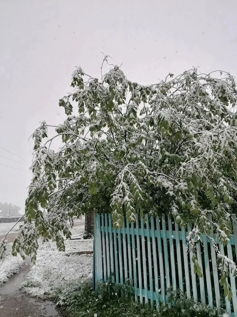 «За 4 дня — 4 времени года!»