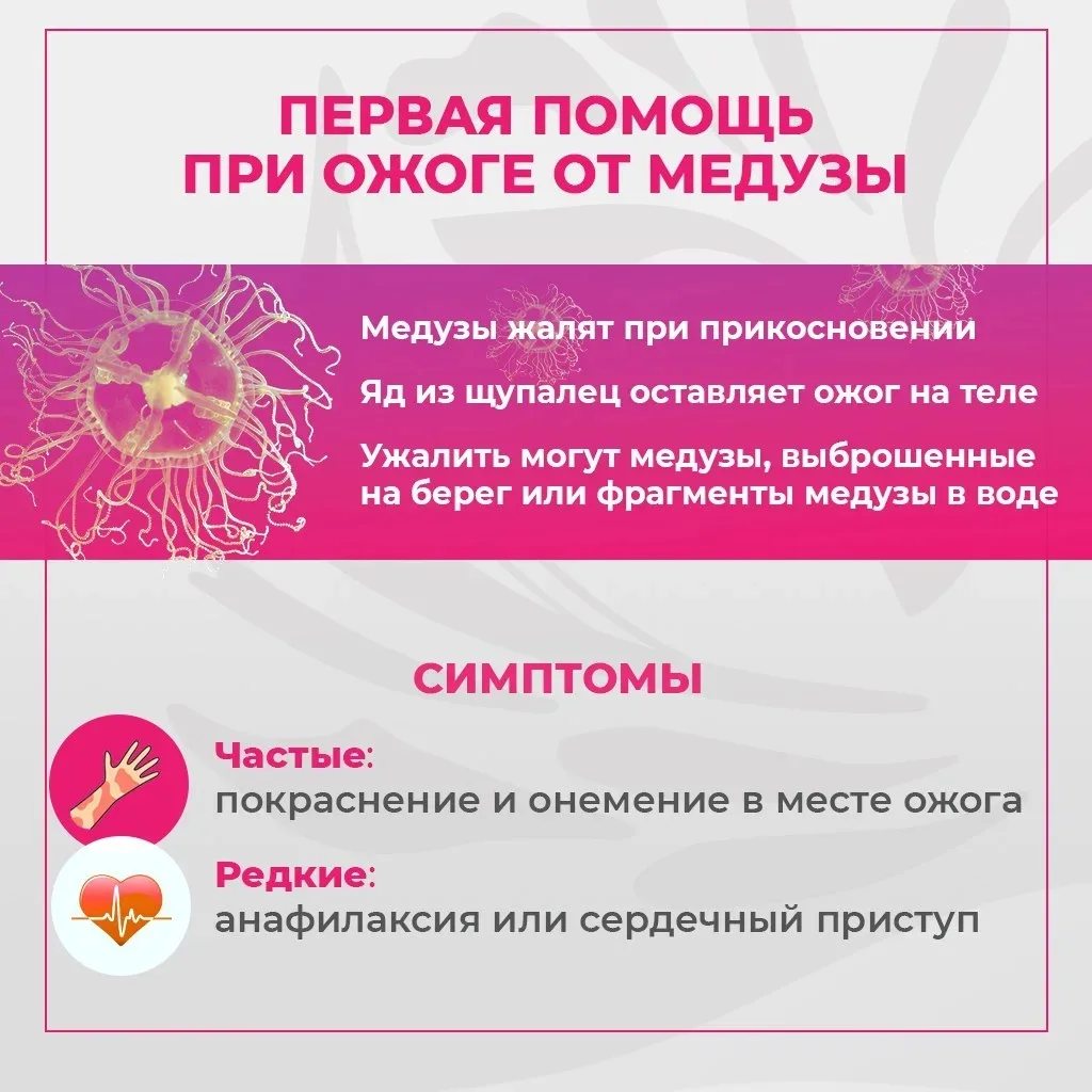 🏖На пляжах Приморья начали появляться медузы-крестовики. Чтобы не омрачить отдых и знать как избежа