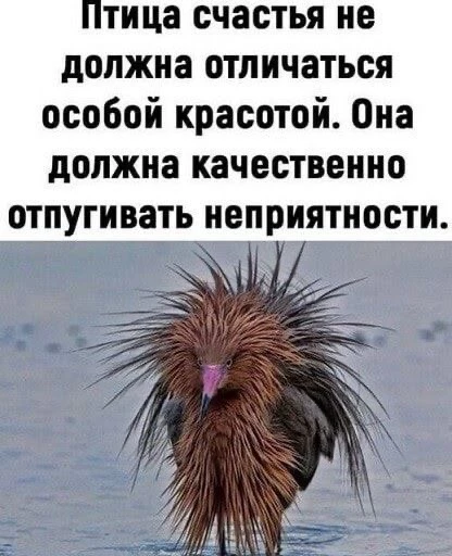 😆😆

👉Ох, Девоньки! Подписаться