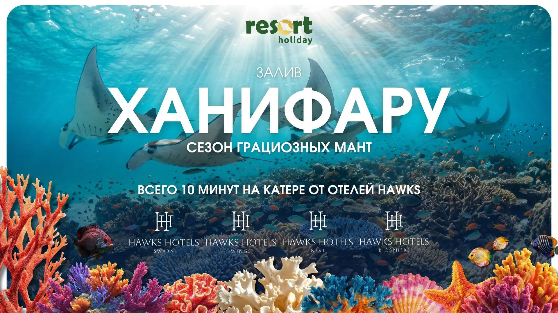 На Мальдивах начинается одно из самых впечатляющих природных явлений - сезон мант в зал...