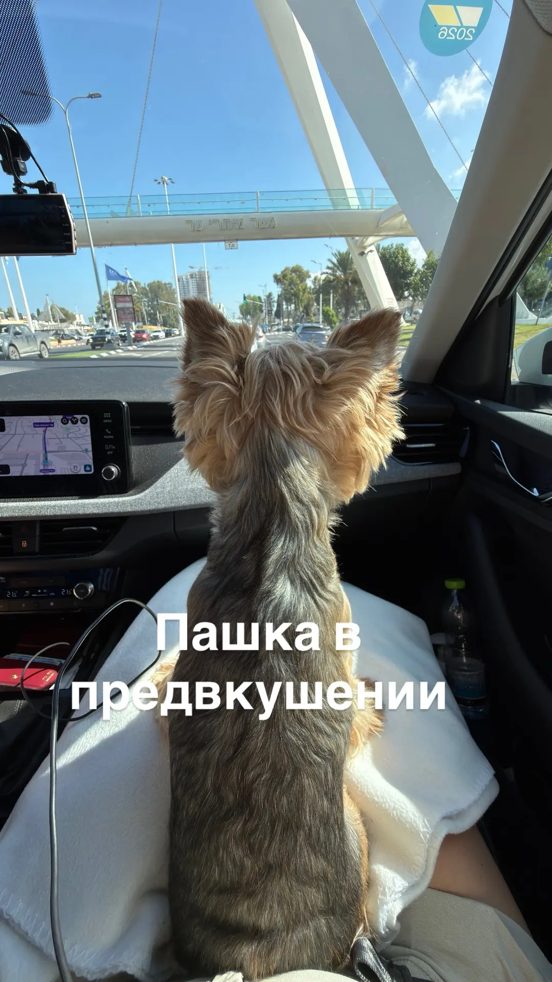 Мы на месте🏠🏡🛁🪣🚽