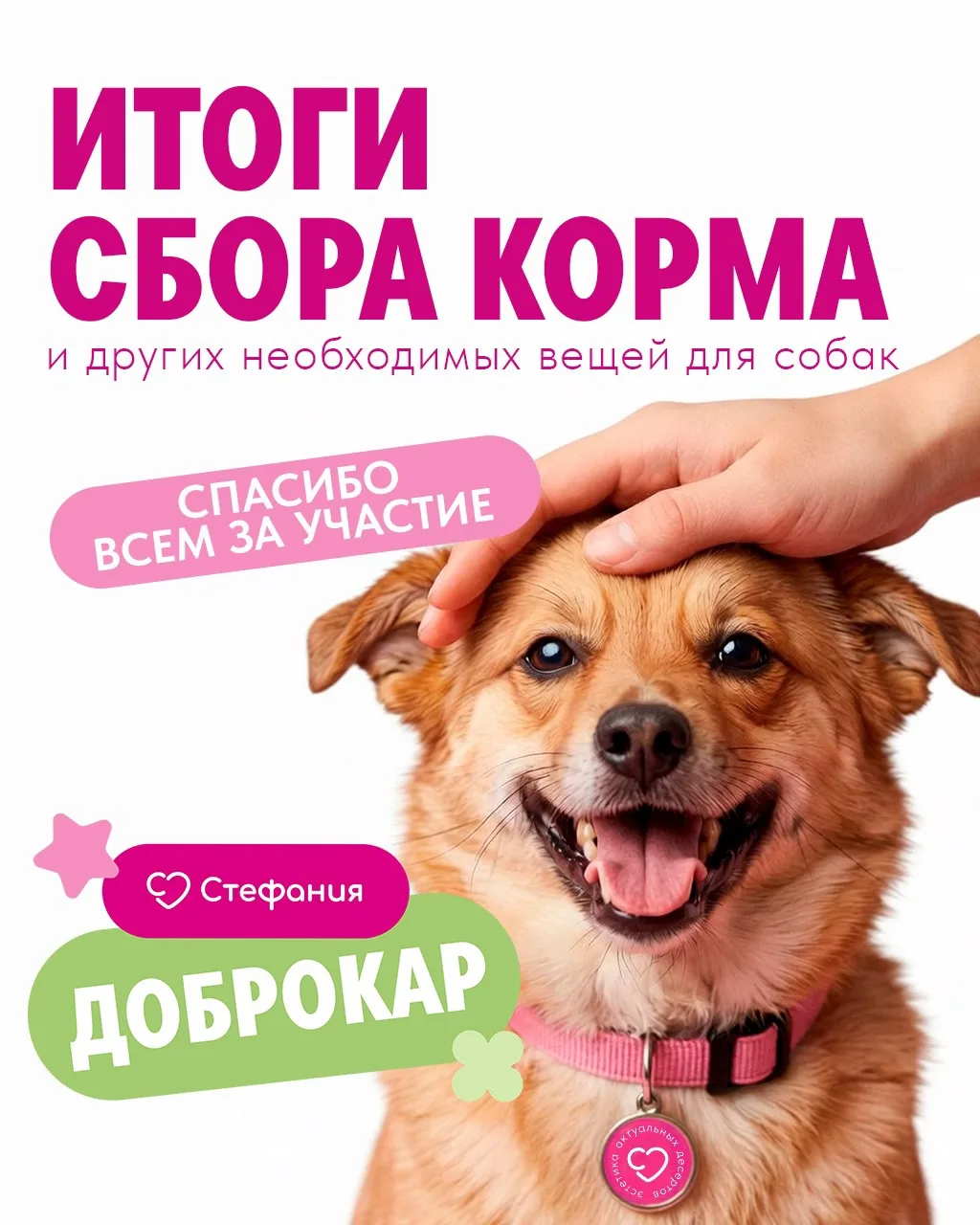 Если вы думаете, что мы забыли про сбор корма — то нет! ❤️