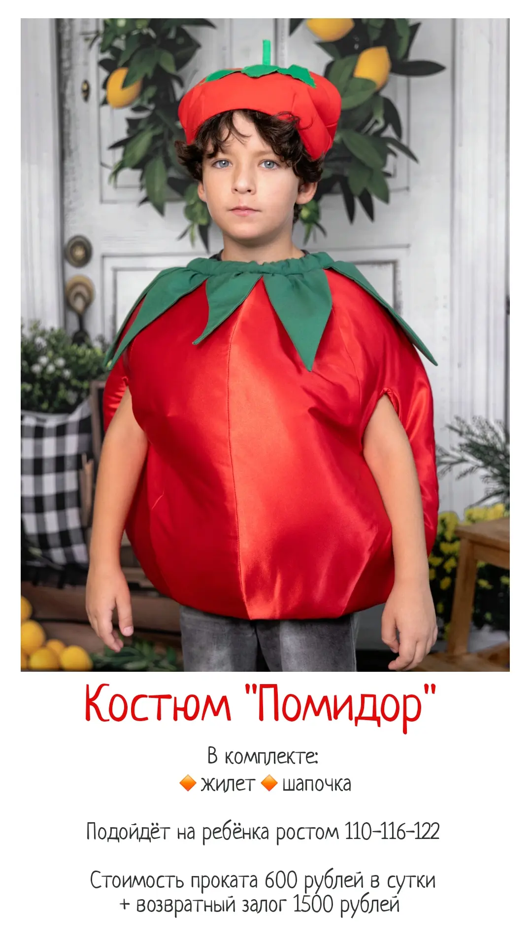 Коллекция овощей на праздник урожая