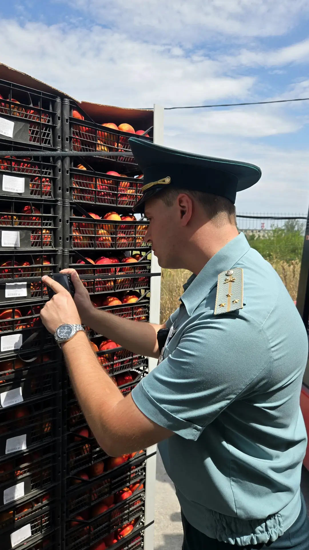 Импорт сезонных фруктов через Минераловодский таможенный пост вырос в 1,5 раза